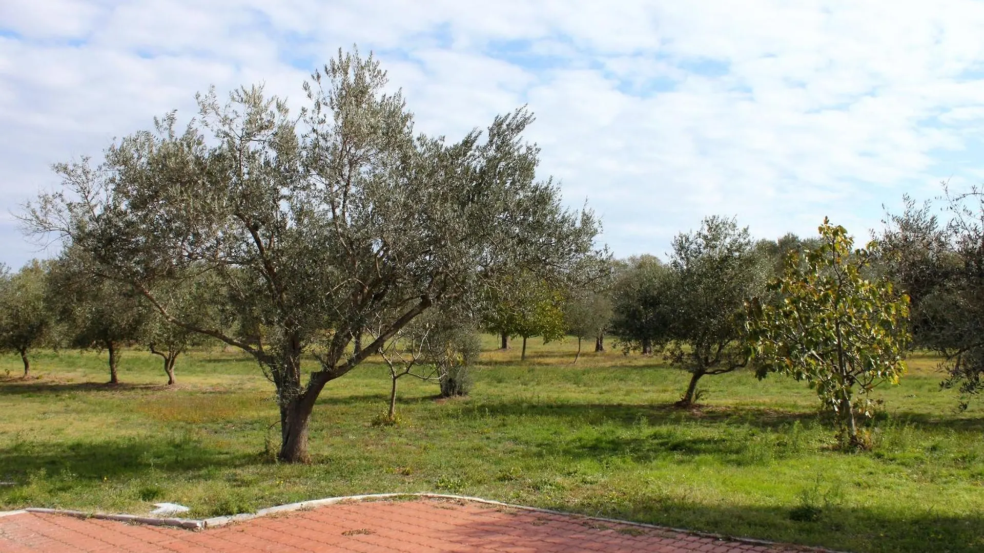 Holiday House With A Swimming Pool Loborika, Pula - 22776 Marcana Holiday home